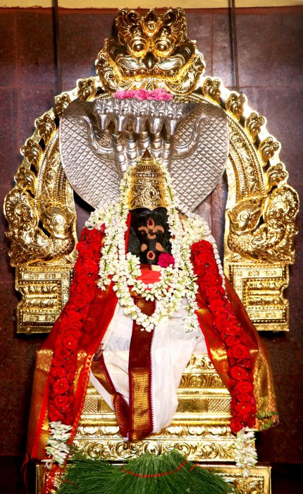 Melattur Siddhi Buddhi Vinayakar Brahmotsavam