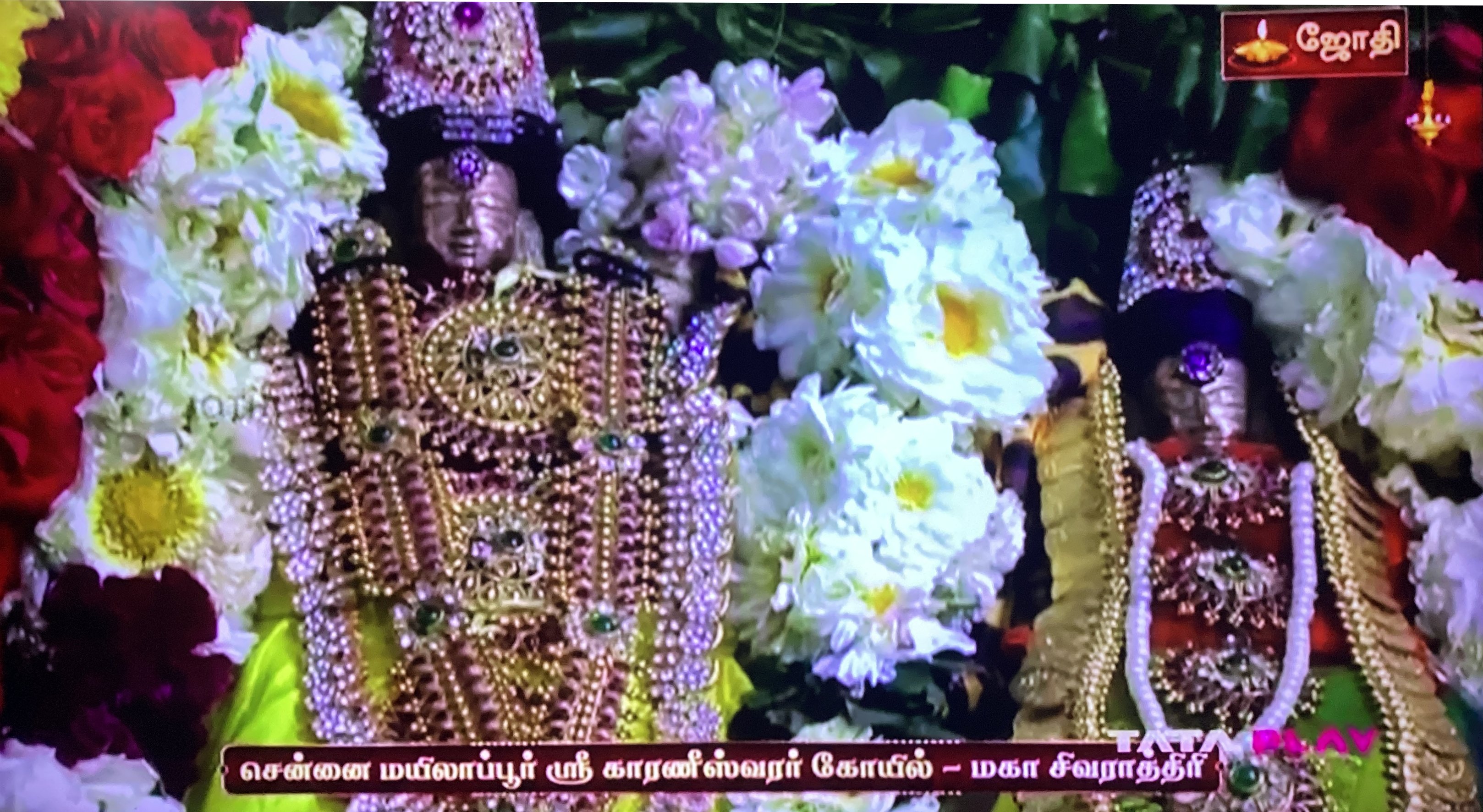 Maha Sivaratri - Chennai Mylapore Karaneeswarar Koil