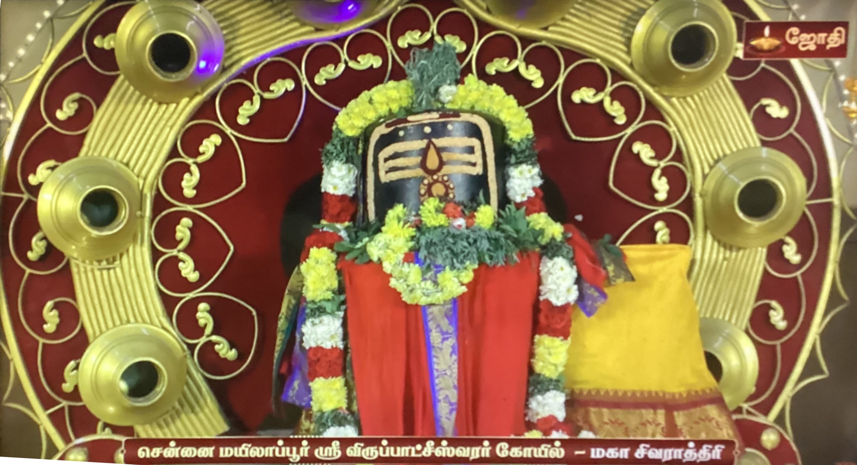 Maha Sivaratri - Chennai Mylapore Virubatcheeswarar Koil