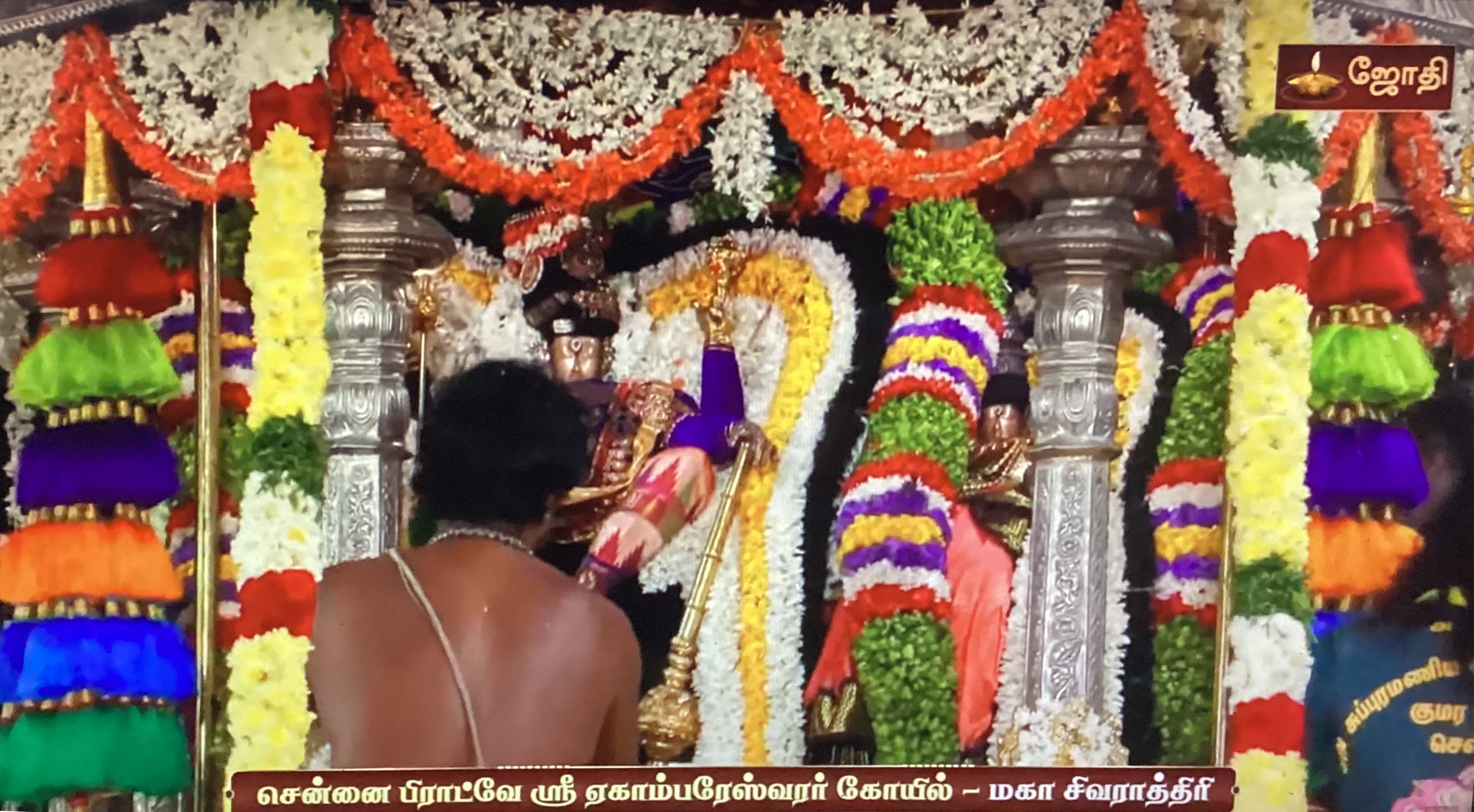 Maha Sivaratri - Chennai Broadway Ekambareshwarar Koil